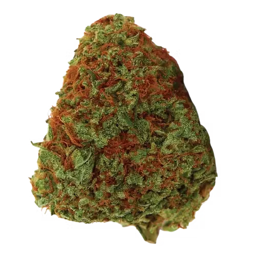 Orange Bud CBD