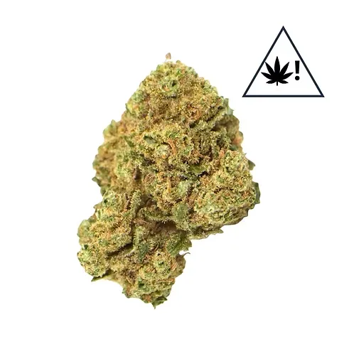 Fleur CBD Amnesia US Revuelto – Puissante et Aromatique