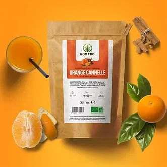 INFUSION BIO ORANGE CANNELLE